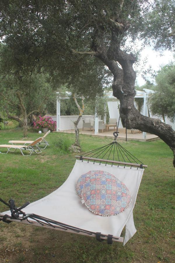 Rodis Studios Tsilivi  Exteriér fotografie