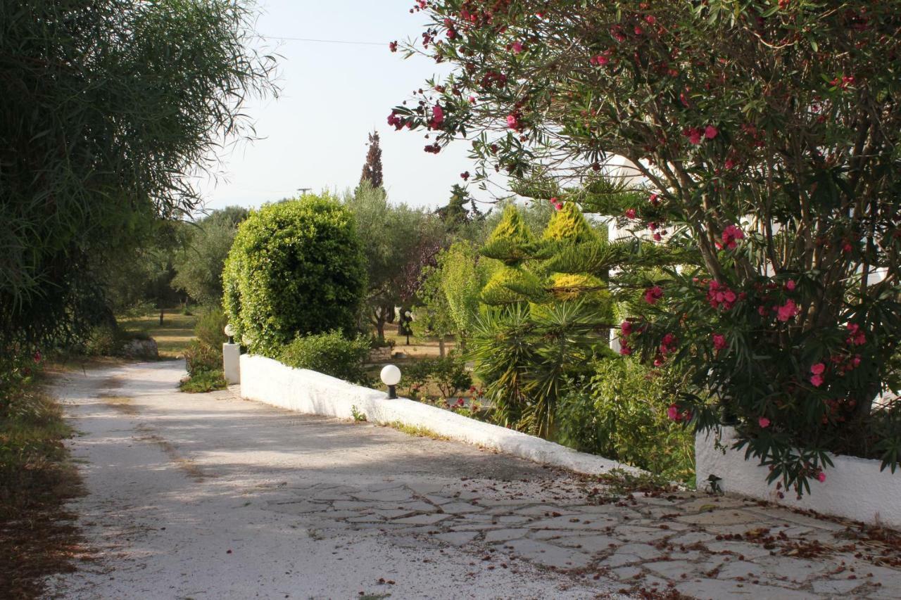 Rodis Studios Tsilivi  Exteriér fotografie