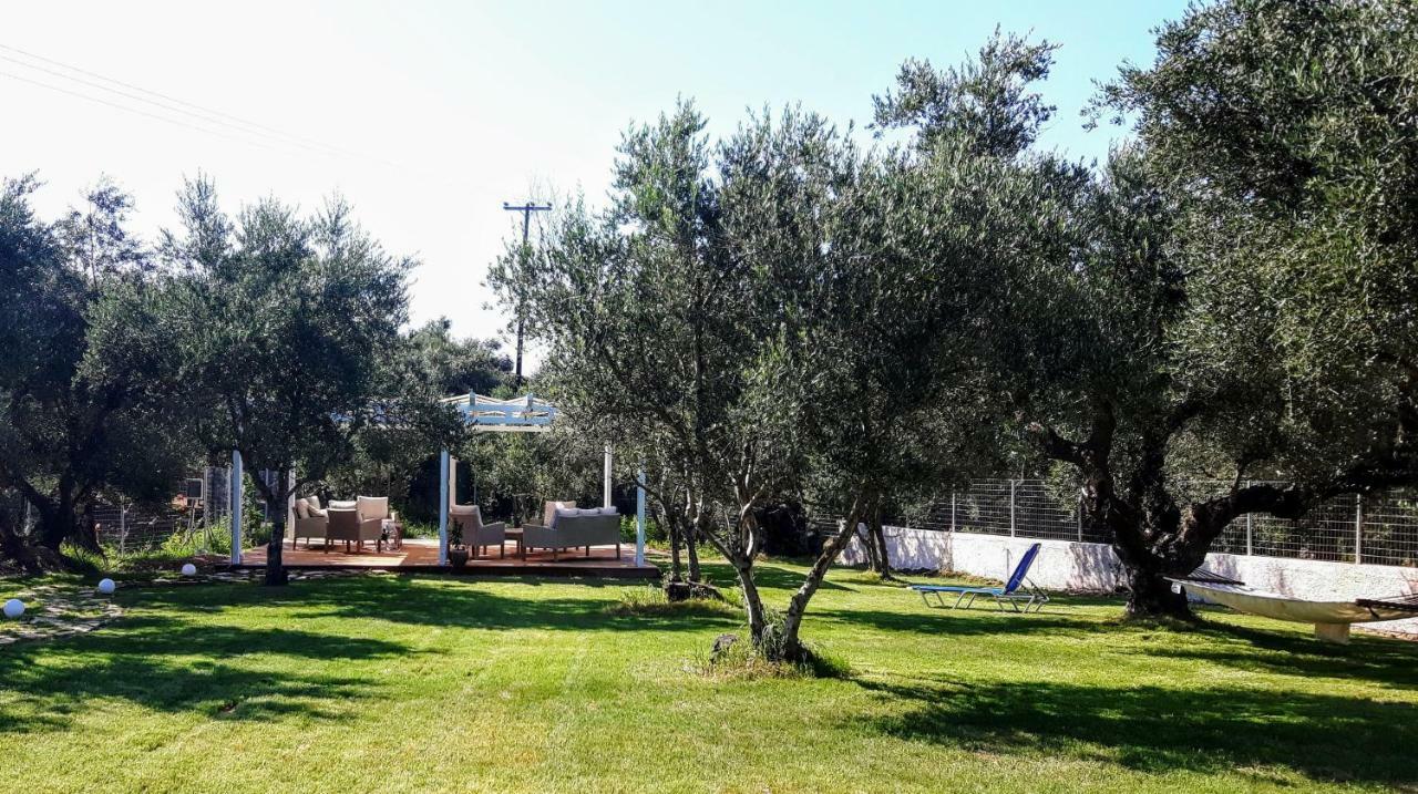 Rodis Studios Tsilivi  Exteriér fotografie